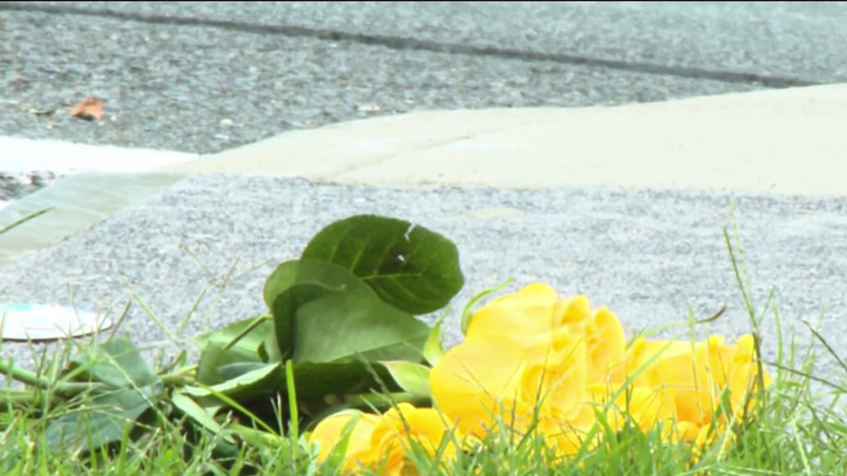 Middle schooler hit and killed in Fairfax while biking home – NBC4 Washington