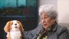 ‘It feeds my soul': Robotic pets are helping older adults find companionship