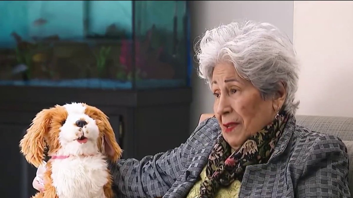 Robotic pets are helping older adults find companionship