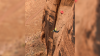 BASE jumper fatally plunges 700 feet after wingsuit failure in Utah