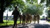 National Guard crime task force member arrested in DC, accused of drawing gun on fellow Guard member