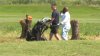 East Potomac Park: Judge allows continued tree work by Trump administration