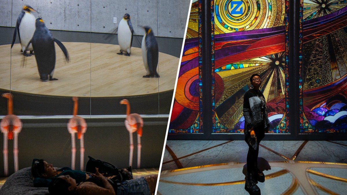 DC interactive art space ARTECHOUSE returns with dancing flamingos, talking penguin