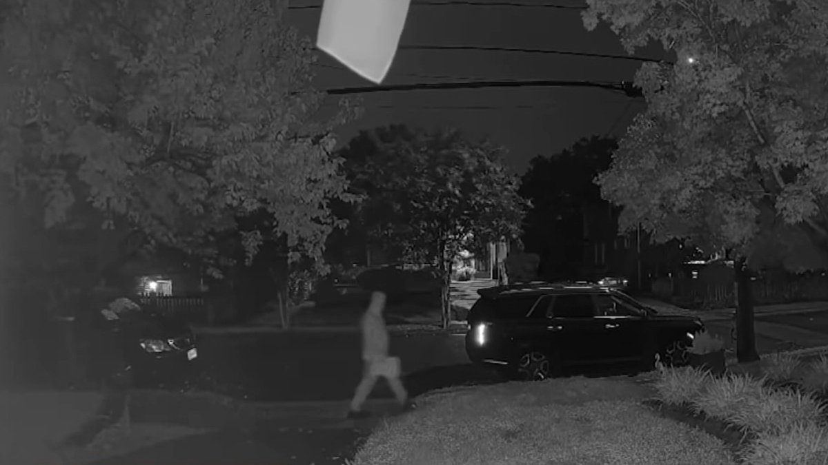 Flyers left on dozens of cars in Alexandria raise voter intimidation concerns