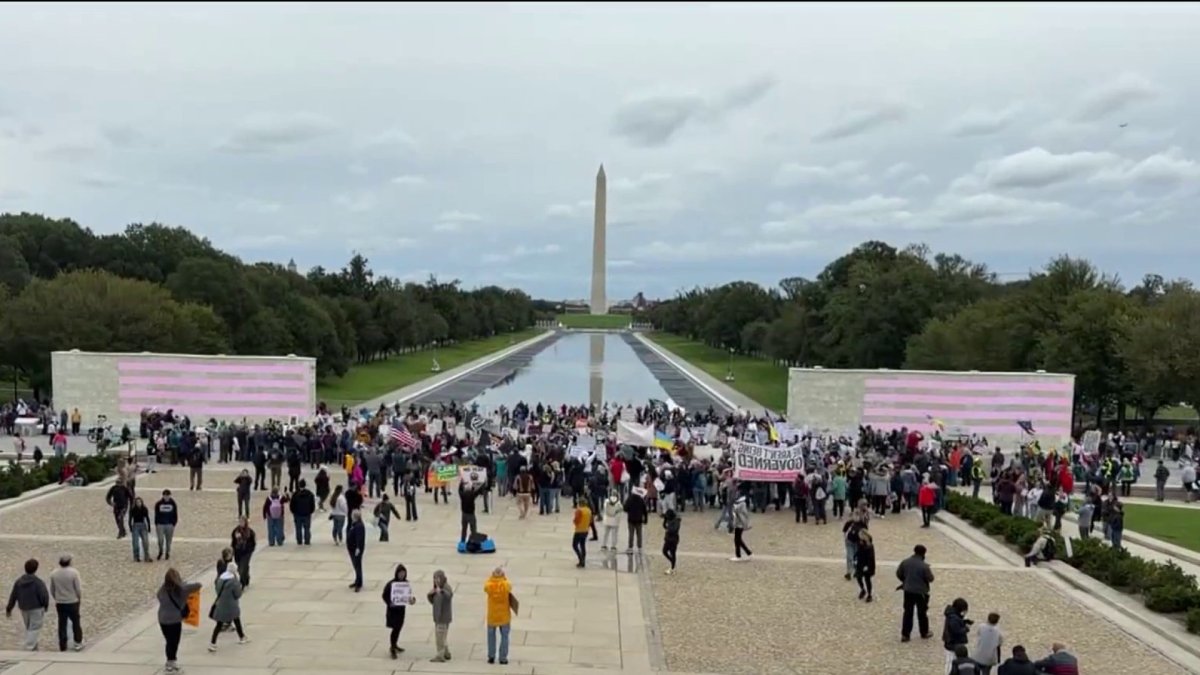 DMV No Kings Day protesters urge people to vote early ahead of midterms