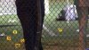 Man sentenced to 32 years for fatal flag football shooting