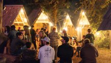 Markoff's Haunted Forest