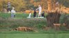 Tree-cutting equipment removed from East Potomac Park Golf Course