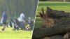 Trump says he's building elite DC golf course despite what U.S. lawyers told judge