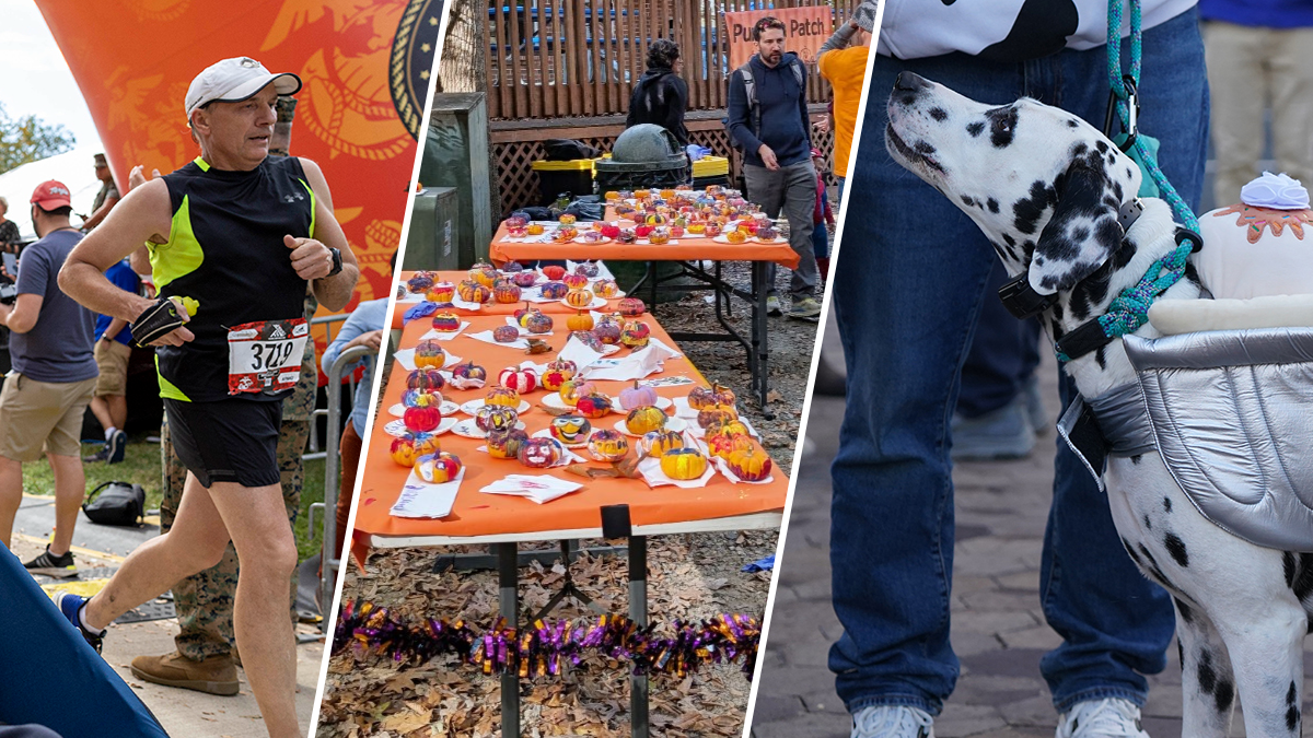 The Weekend Scene: Marine Corps Marathon, Silver Spring Zombie Walk & more, Oct. 23-25