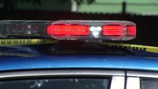 Lock-in at Alexandria Schools Over After Report of Shots Fired