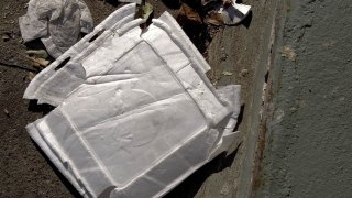 San Francisco Styrofoam Ban Said to Be Nation's Strictest