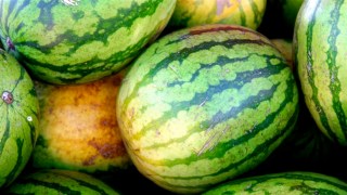 Inmates at Md. Prisons Grow, Donate Five Tons of Food