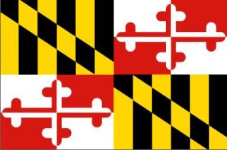 Primary for Governor Lifted Ad Spending in Md.