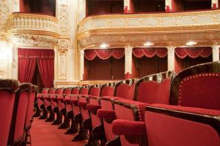 Woman Walks on Stage During Musical Looking for Bathroom