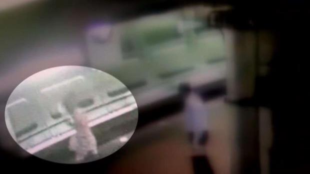 Suspect Jumped Off Metro Platform in Bid to Escape