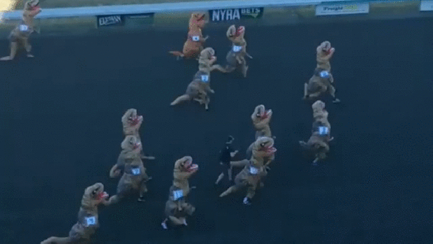 [NATL] Dino Derby: T-Rexes 'Race' at Washington Racetrack