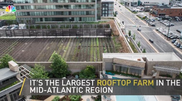 [DC] Farms in Mid-Atlantic at Pike and Rose 