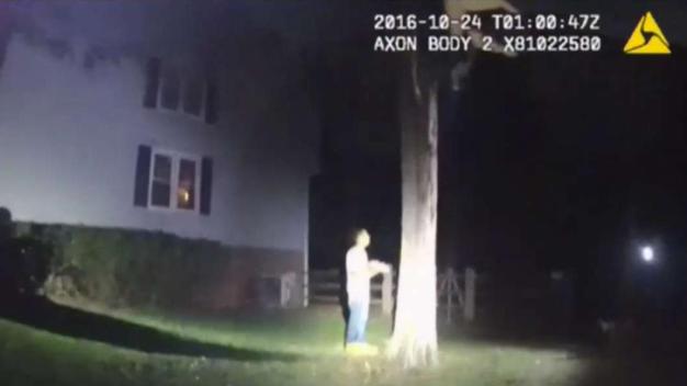 Man Who Stabbed Friend, Tried to Hide Behind Tree Gets 40 Years