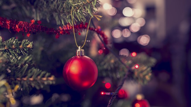 How To Recycle Your Christmas Tree In Dc Md And Va Nbc4 Washington